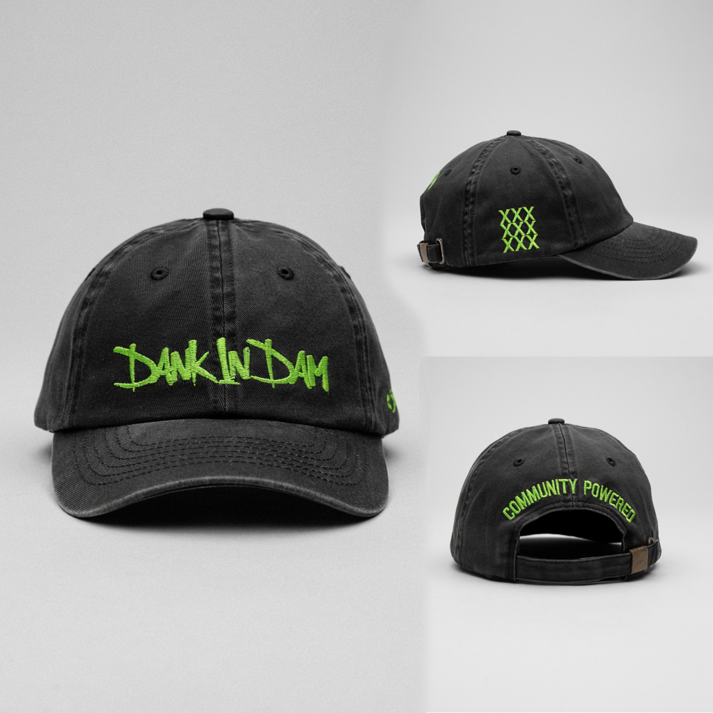 Dank In Dam Dad Cap